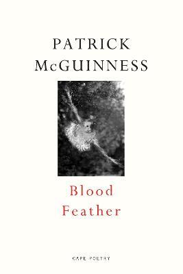 Blood Feather - Patrick McGuinness - cover