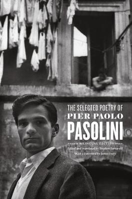 The Selected Poetry of Pier Paolo Pasolini - Pier Paolo Pasolini - cover