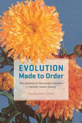 Evolution Made to Order: Plant Breeding and Technological Innovation in Twentieth-Century America - Helen Anne Curry - cover