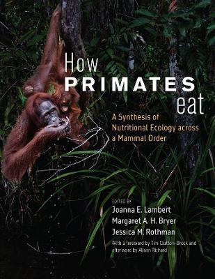 How Primates Eat: A Synthesis of Nutritional Ecology across a Mammal Order - cover