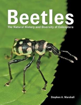 Beetles: The Natural History and Diversity of Coleoptera - Stephen A. Marshall - cover