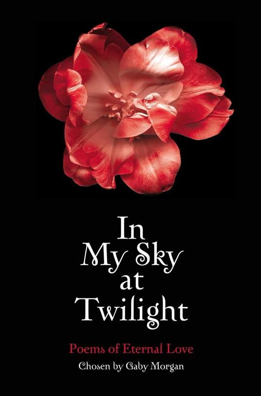 In My Sky at Twilight - Gaby Morgan - ebook