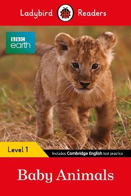 Ladybird Readers Level 1 - BBC Earth - Baby Animals (ELT Graded Reader) - Ladybird - cover