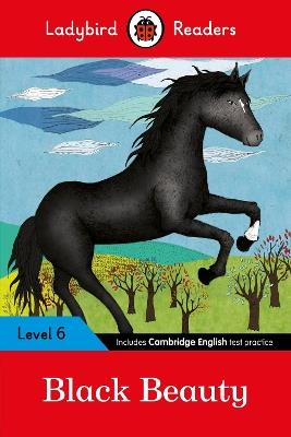 Ladybird Readers Level 6 - Black Beauty (ELT Graded Reader) - Ladybird - cover