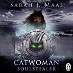 Catwoman: Soulstealer (DC Icons series)