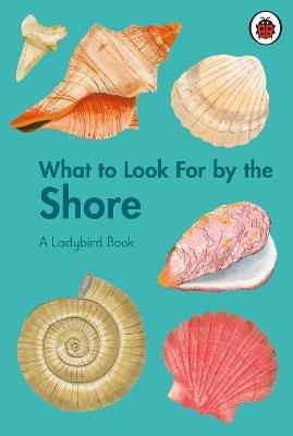 What to Look For by the Shore - Becky Brown - cover