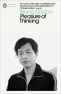 Pleasure of Thinking - Wang Xiaobo - cover
