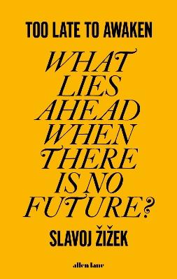 Too Late to Awaken: What Lies Ahead When There is No Future? - Slavoj Žižek - cover