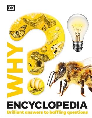 Why? Encyclopedia: Brilliant Answers to Baffling Questions - DK - cover