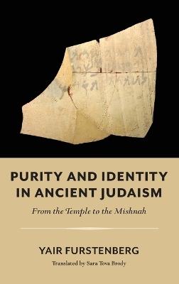 Purity and Identity in Ancient Judaism – From the Temple to the Mishnah - Yair Furstenberg,Sara Tova Brody - cover