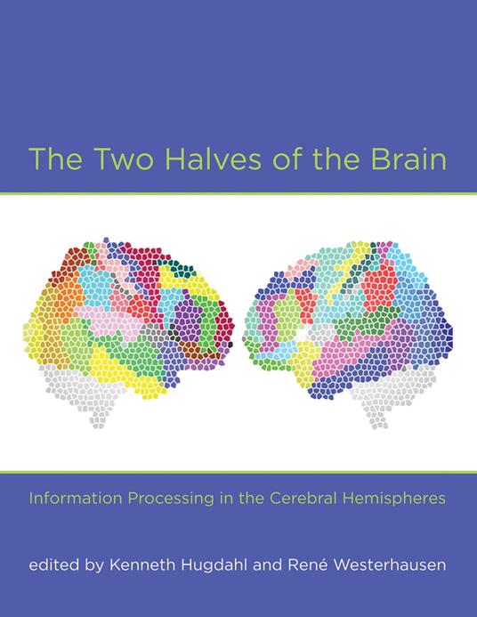 The Two Halves of the Brain