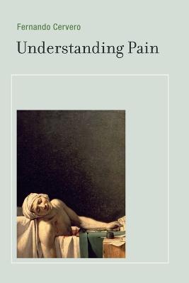 Understanding Pain: Exploring the Perception of Pain - Fernando Cervero - cover