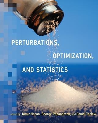 Perturbations, Optimization, and Statistics - cover