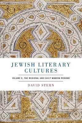 Jewish Literary Cultures: Volume 2, The Medieval and Early Modern Periods - David Stern - cover