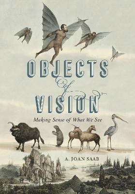 Objects of Vision: Making Sense of What We See - A. Joan Saab - cover