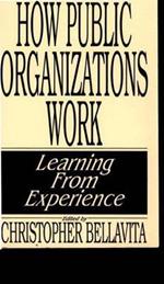 How Public Organizations Work: Learning from Experience