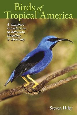 Birds of Tropical America: A Watcher's Introduction to Behavior, Breeding, and Diversity - Steven Hilty - cover