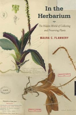 In the Herbarium: The Hidden World of Collecting and Preserving Plants - Maura C. Flannery - cover