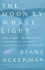 Moon By Whale Light