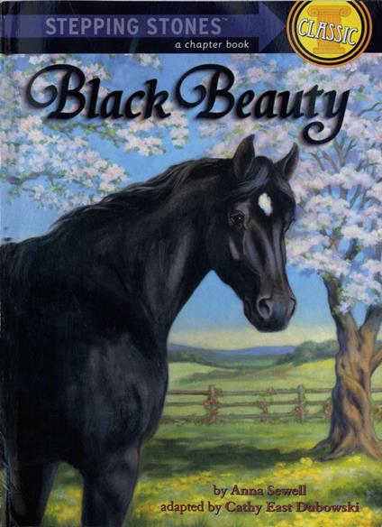 Black Beauty - East Dubowski Cathy,Domenick D'Andrea - ebook