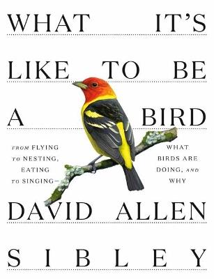 What It's Like to be a Bird - David Allen Sibley - cover