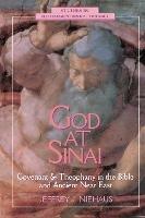 God at  Sinai: Covenant and Theophany in the Bible and Ancient Near East - Jeffrey J. Niehaus - cover