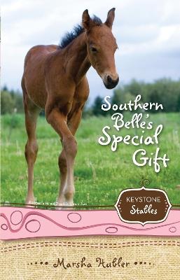 Southern Belle's Special Gift - Marsha Hubler - cover