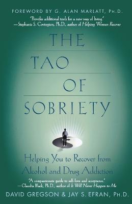 Tao of Sobriety:Helping You to RE: Helping You to Recover from Alcohol and Drug Addiction - GREGSON - cover