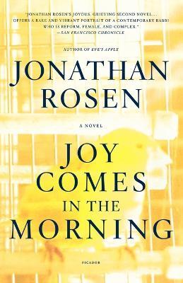 Joy Comes in the Morning - Jonathan Rosen - cover