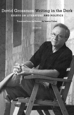 Writing in the Dark: Essays on Literature and Politics - David Grossman - cover