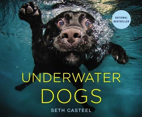 Underwater Dogs - Seth Casteel - cover