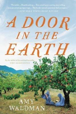 A Door in the Earth - Amy Waldman - cover