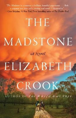 The Madstone - Elizabeth Crook - cover