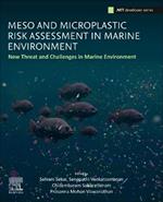 Meso and Microplastic Risk Assessment in Marine Environments: New Threats and Challenges
