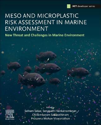 Meso and Microplastic Risk Assessment in Marine Environments: New Threats and Challenges - cover