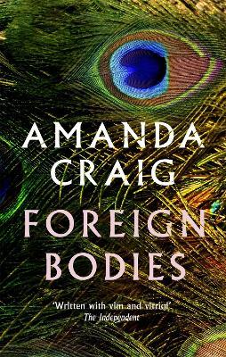 Foreign Bodies - Amanda Craig - cover