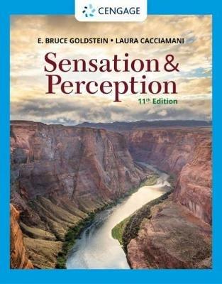 Sensation and Perception - E. Goldstein,Laura Cacciamani - cover