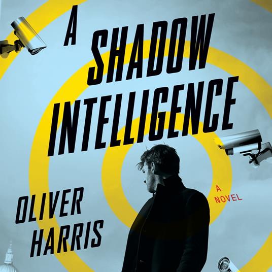 A Shadow Intelligence