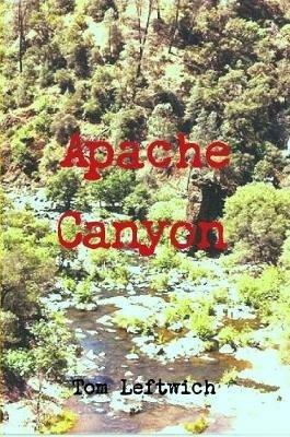 Apache Canyon - Tom Leftwich - cover