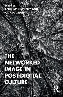 The Networked Image in Post-Digital Culture - cover