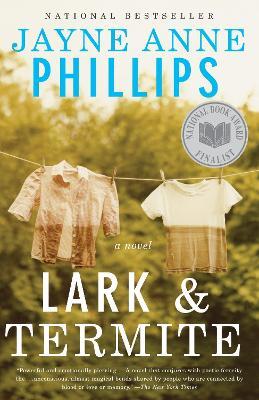 Lark and Termite: A Novel - Jayne Anne Phillips - cover