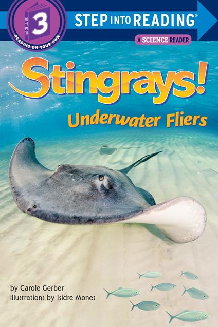 Stingrays! Underwater Fliers - Carole Gerber,Isidre Mones - ebook