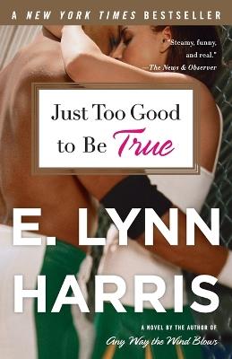 Just Too Good to Be True: A Novel - E. Lynn Harris - cover