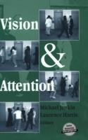 Vision and Attention