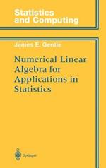 Numerical Linear Algebra for Applications in Statistics