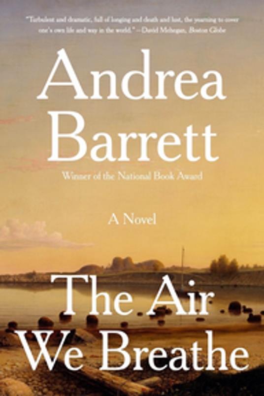 The Air We Breathe: A Novel