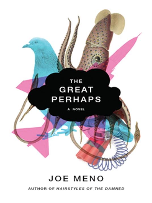 The Great Perhaps: A Novel