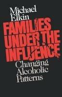 Families Under the Influence: Changing Alcoholic Patterns - Michael Elkin - cover