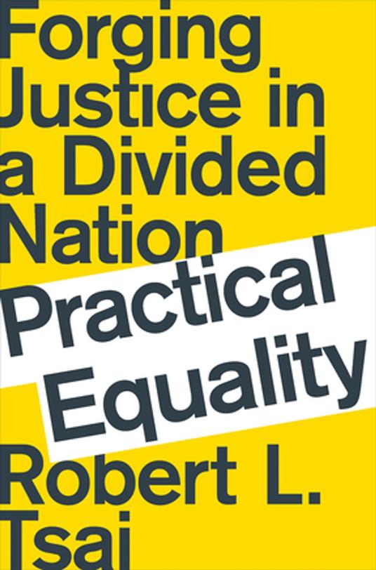 Practical Equality: Forging Justice in a Divided Nation