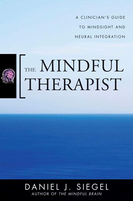 The Mindful Therapist: A Clinician's Guide to Mindsight and Neural Integration